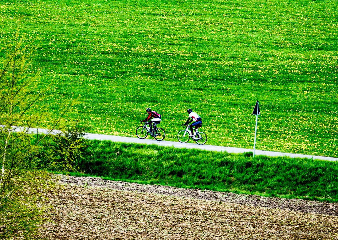 Foto: Martin Zehrer - Fast von der Frï¿½hlingswiese verschlungen. Zwei Radfahrer bezwingen den Godaser Berg. Von Trevesen aus angefahren, steigt hier die Straï¿½e ca. 2 Kilometer lang steil an 