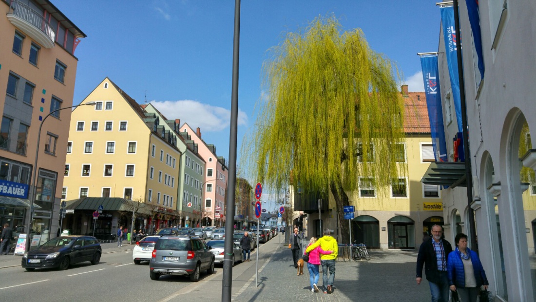 Foto: Martin Zehrer - Der Baum hat die grünen Haare schön... Eine Weide in Weiden? 