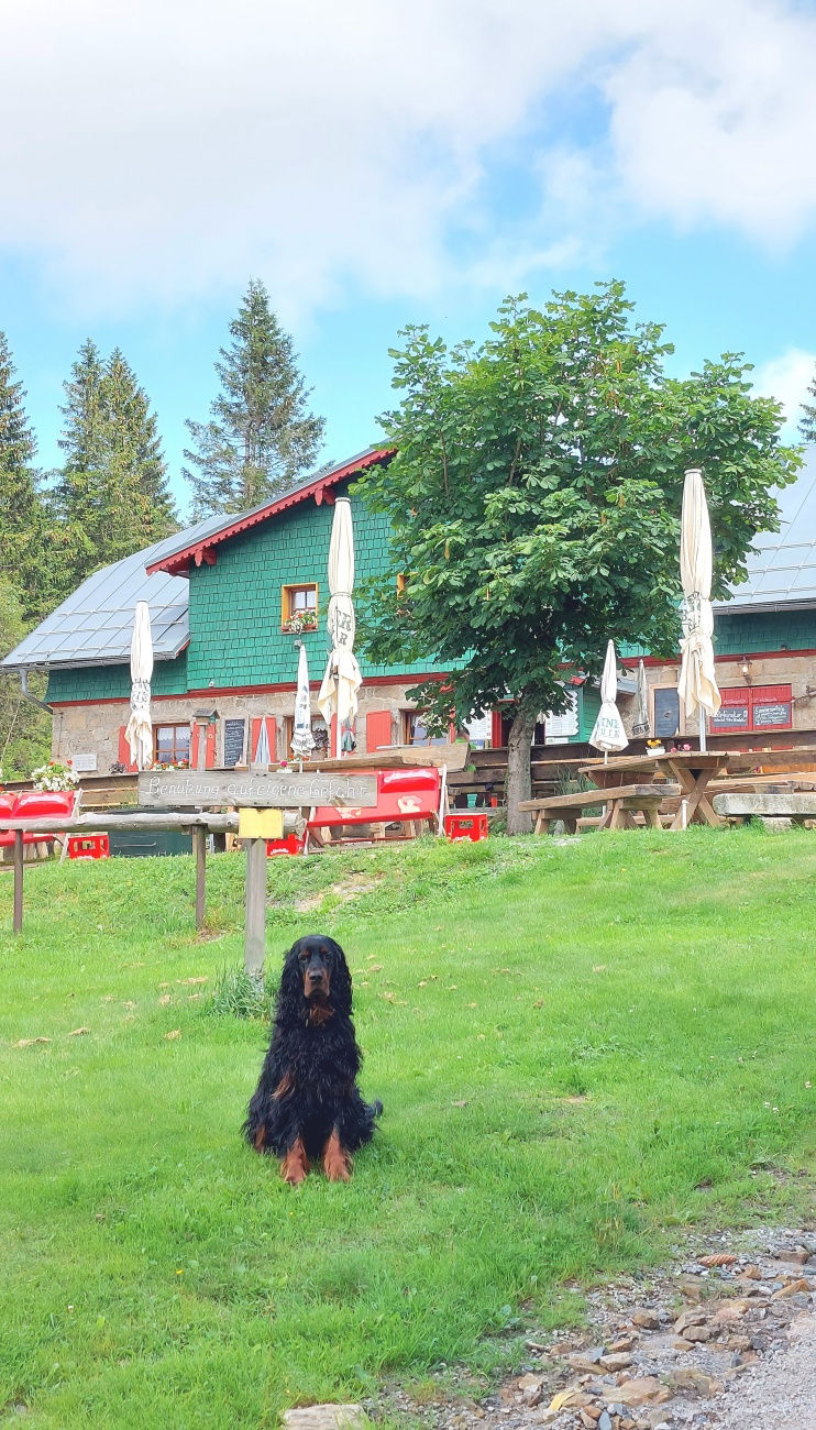 Foto: Martin Zehrer - Hunter erwartet Dich oben, am Seehaus :-) 