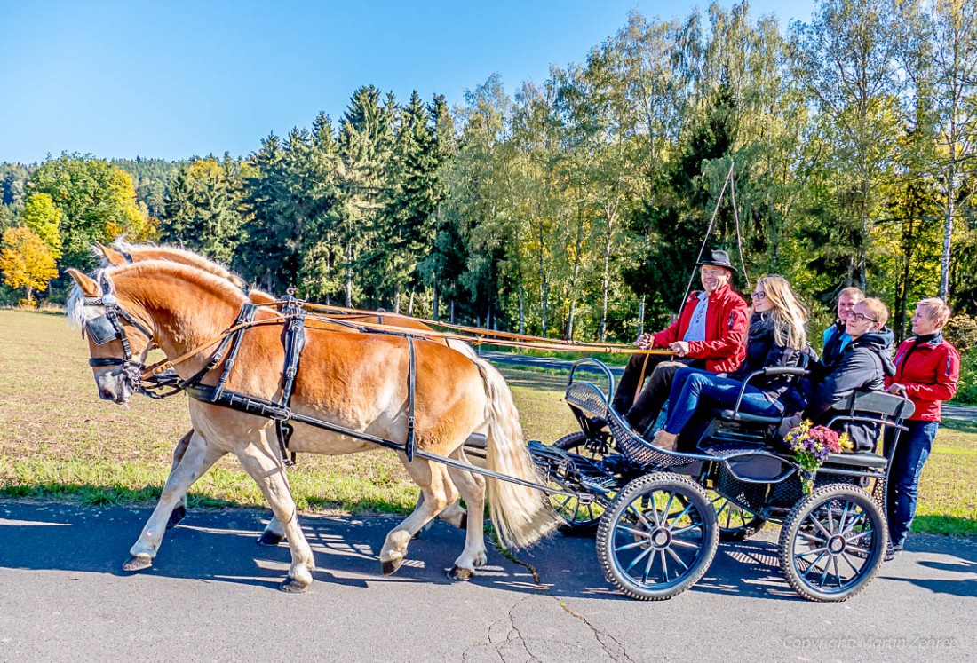 Foto: Martin Zehrer - Es geht mit der Kutsche bergauf... zum Wendelin-Ritt in Trevesen, Oktober 2015 