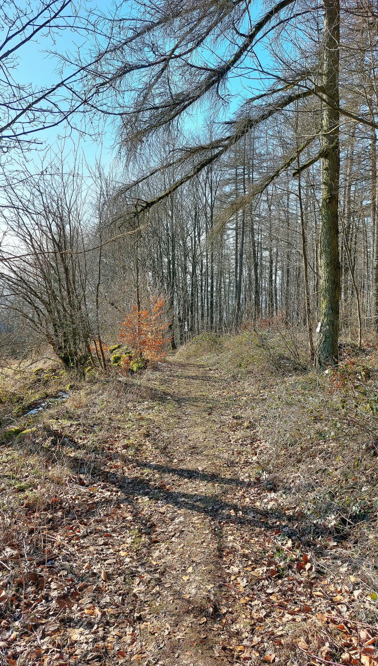 Foto: Martin Zehrer - Wanden zum Armesberg hoch...  