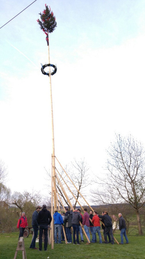 Foto: Martin Zehrer - Geschafft, der Hermannsreuther Maibaum steht... 