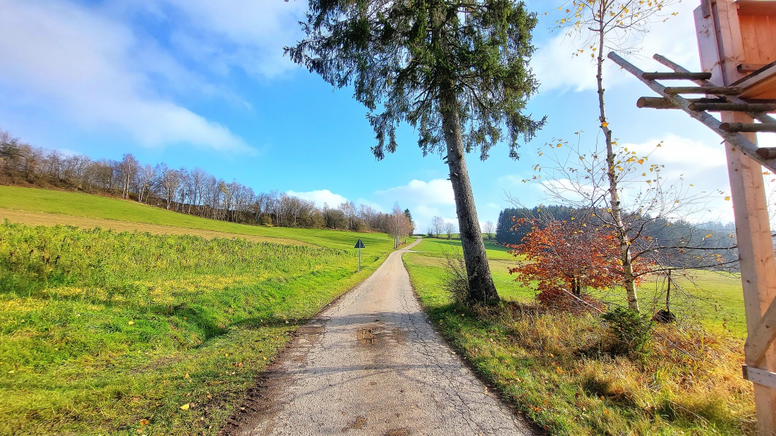 Foto: Martin Zehrer - Herbstspaziergang zwischen Neusteinreuth und Godas... 