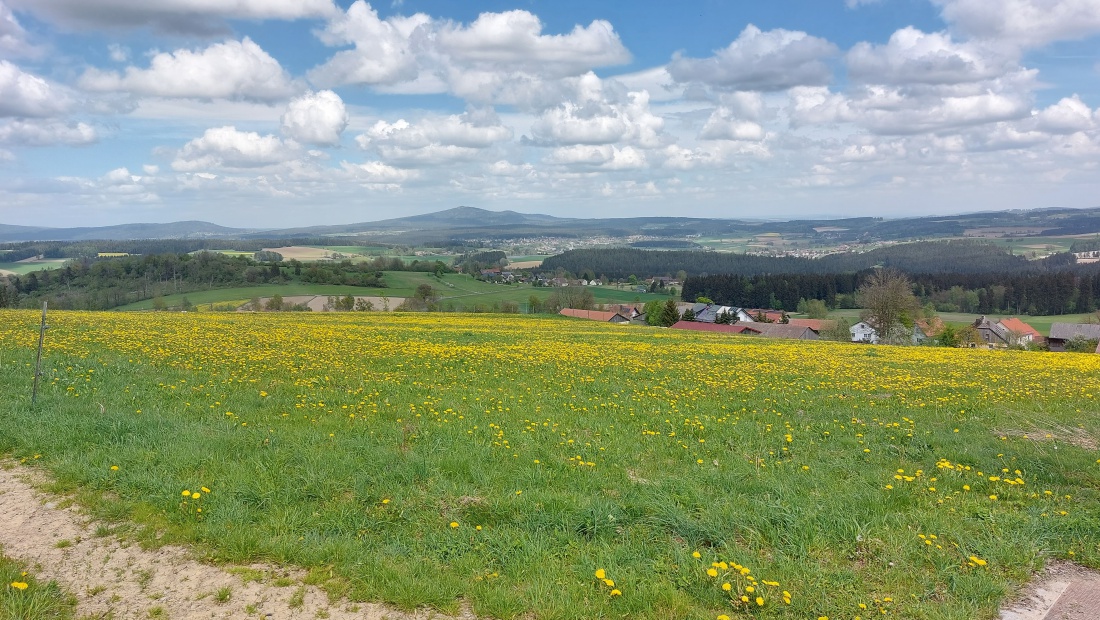 Foto: Martin Zehrer - Der Blick vom Armesberg in Richtung Neusorg, im Hintergrund ist der Berg Kösseine zu erkennen.  