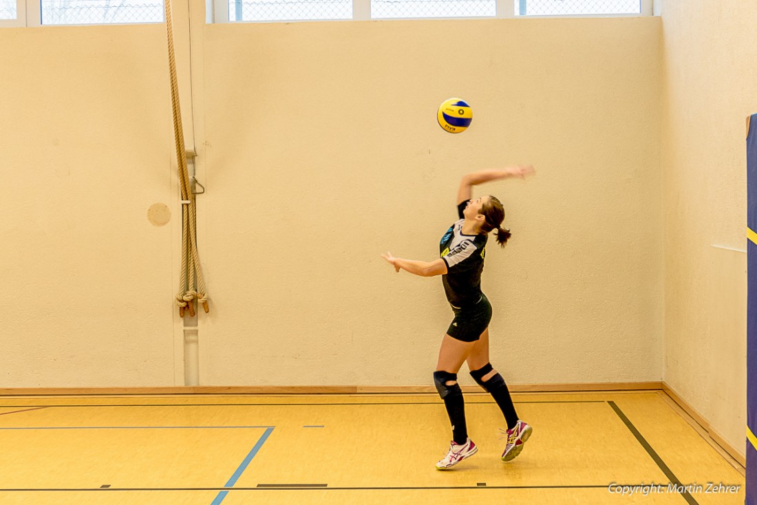 Foto: Martin Zehrer - uuuunnnddd ab damit ;-) Volleyball Damen TUS NEUSORG VS BTS BAYREUTH 3 