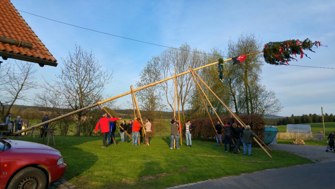 Foto: Martin Zehrer - Der Baum erhebt sich mit Manneskraft... 