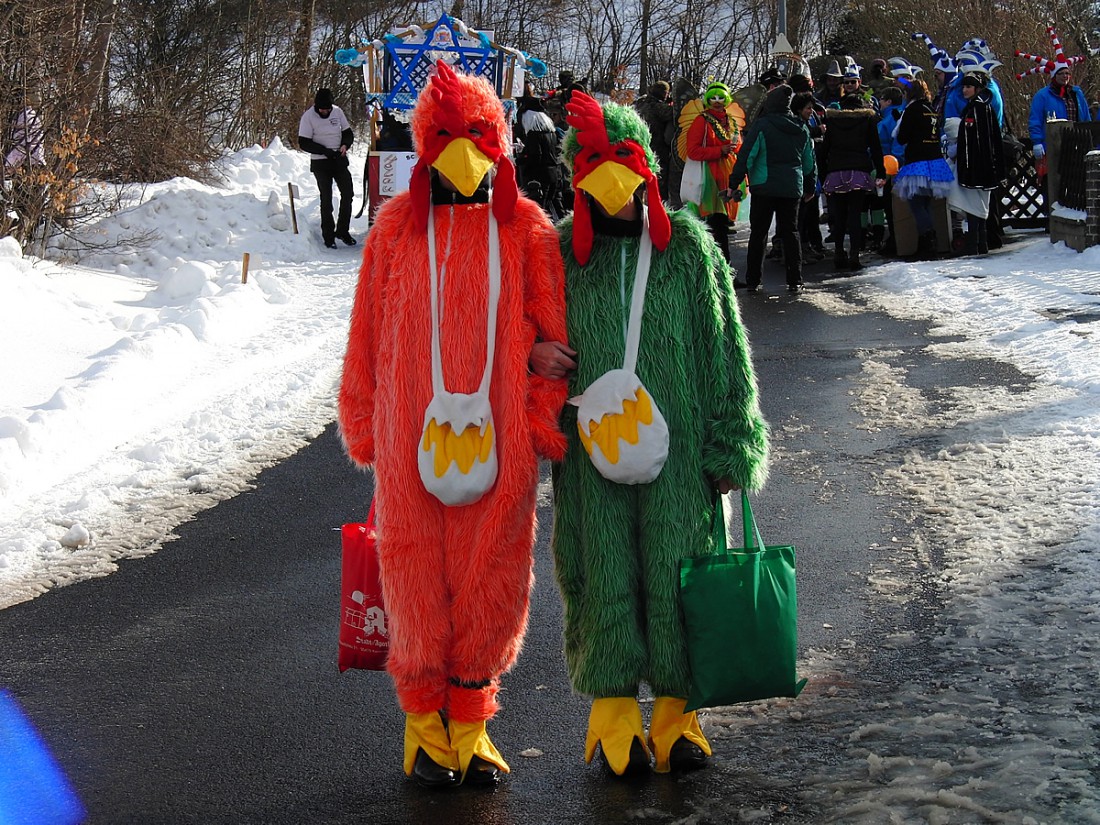 Foto: Martin Zehrer - Bunte Vögel, gesehen beim Faschingsumzug in Waldeck am 10. Februar 2013 