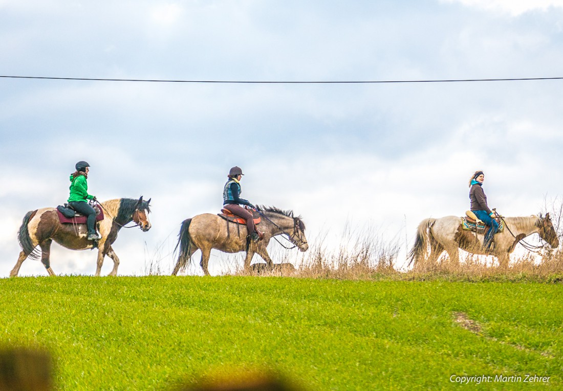 Foto: Martin Zehrer - Drei Reiterinnen mit ihren besten Freunden reiten am Godaser Horizont entlang :-) 