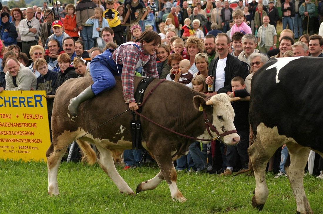 Foto: Thomas Zehrer - Ochsenrennen in Selbitz 2006...<br />
<br />
Hier, bei der Vorstellung der Ochsen-Renn-Teams, konnte man schon erkennen, dass die Weiblichen Ochsen-Reiterinnen ihre Viecher besser  