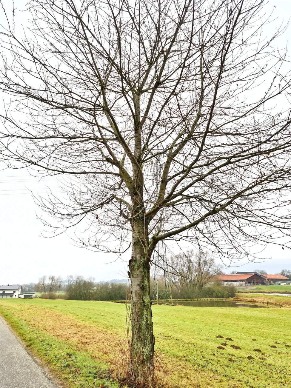 Foto: Jennifer Müller - Wandern um Kemnath 