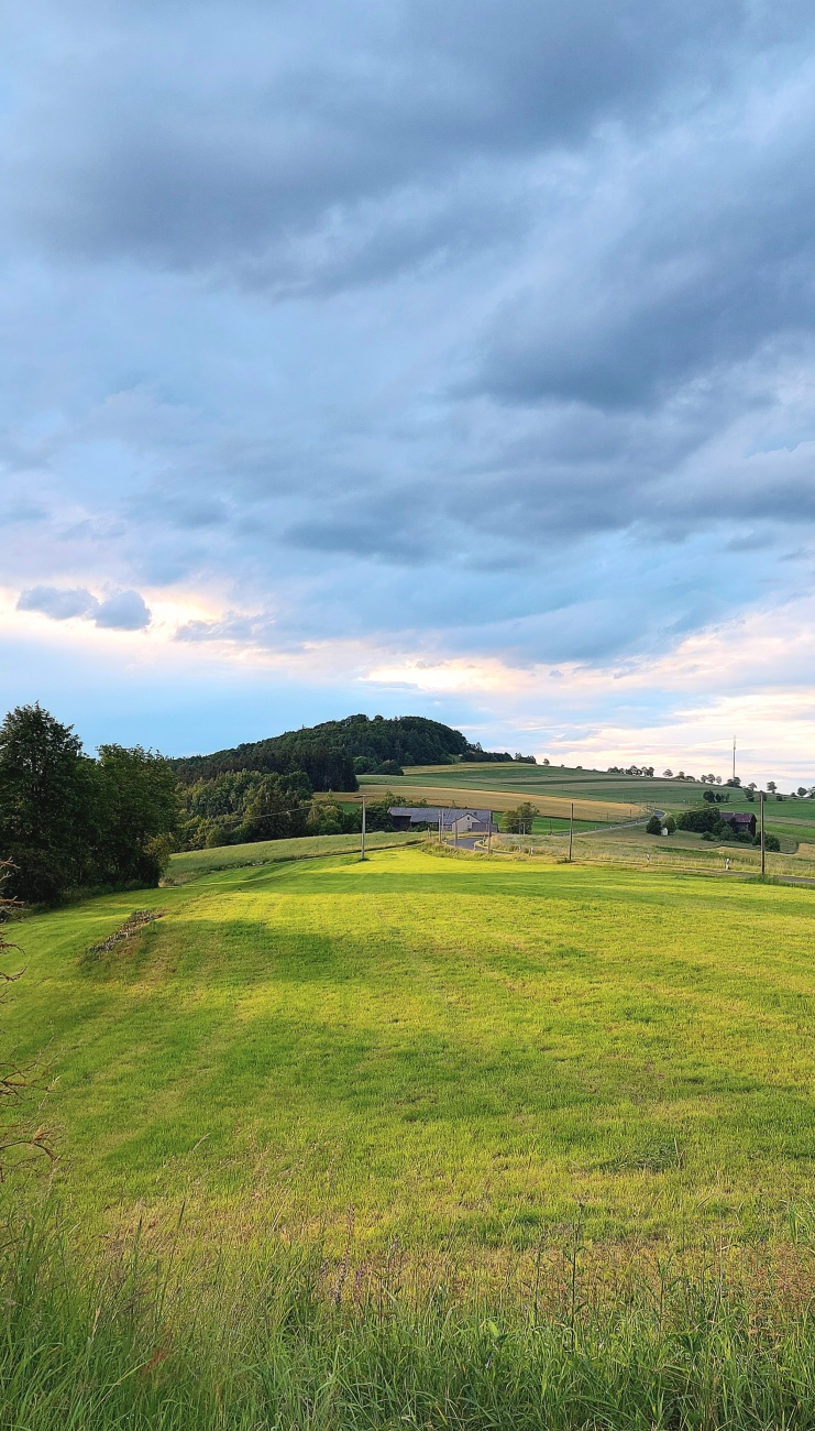 Foto: Martin Zehrer - Der Blick zum Armesberg,  die Wiesen leuchten im Vordergrund... 