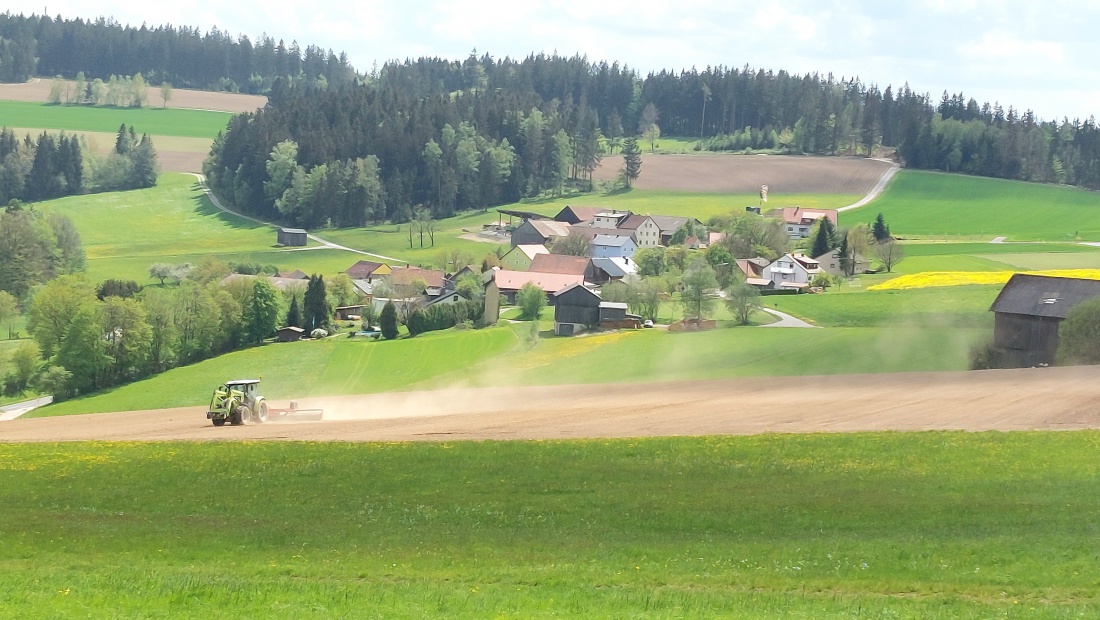 Foto: Martin Zehrer - Godas - Zentrum - Paradies...<br />
<br />
Hat einen der schönsten Maibäume!  