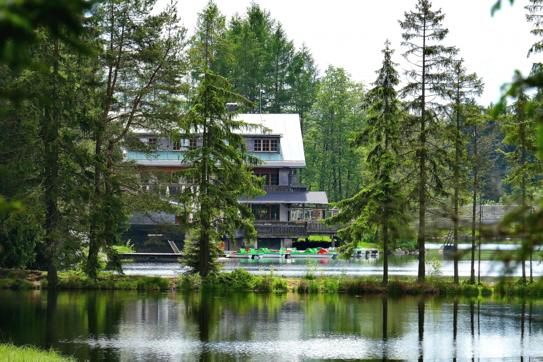 Foto: Martin Zehrer - Der Blick übers Moor und den Fichtelsee,  bis hin zum Hotel am Fichtelsee... 