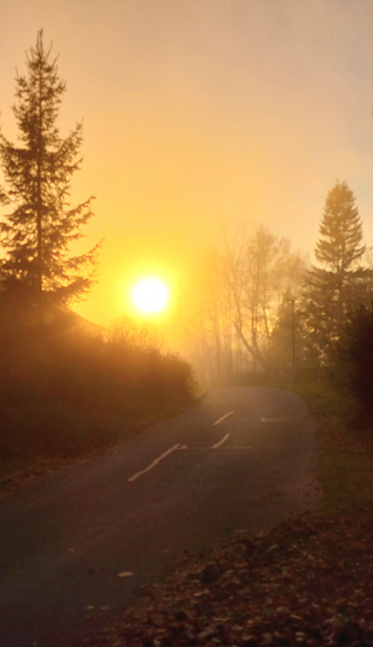 Foto: Martin Zehrer - Sonne im Steinwald...<br />
<br />
Heute gabs in den Niederungen ganztägig dichten Nebel.<br />
Egal ob Kemnath, Waldeck oder Erbendorf,  überall war Nebel.<br />
<br />
Die Temperatur lag um 16: 