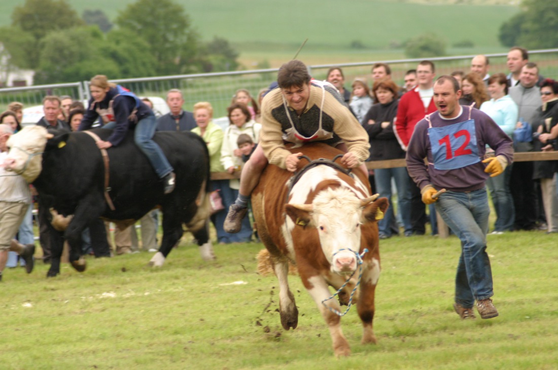 Foto: Martin Zehrer - Ochsenrennen in Oberdolling 2006<br />
<br />
Da hauts den Dreg aussi!!! ;-)<br />
<br />
Ochse: Adrian<br />
Reiter: Martin Zehrer 