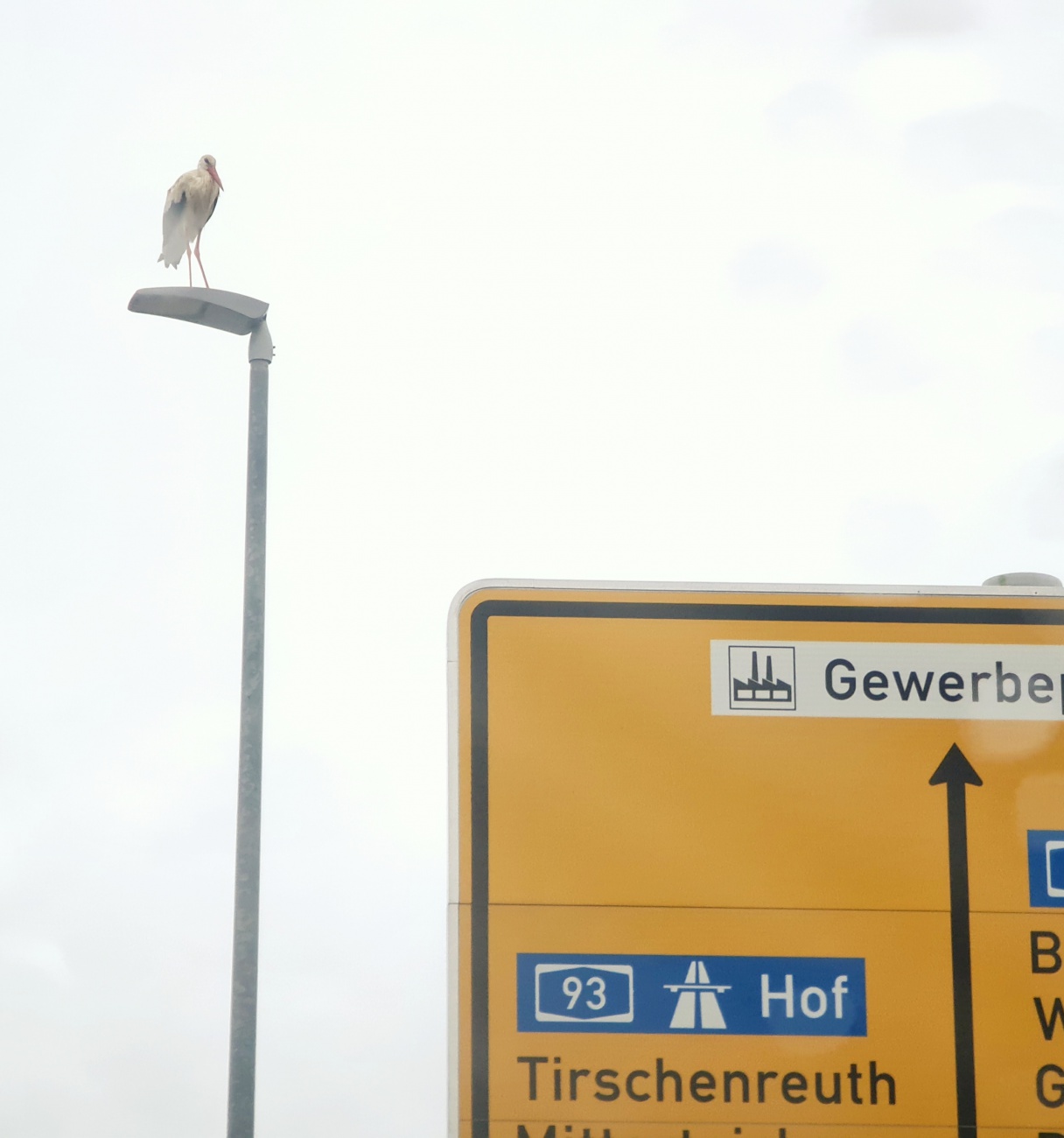 Foto: Jennifer Müller - Suchbild ;-)<br />
Finde den Storch...<br />
Es donnerte und blitzte, regnete wie aus Eimern und was macht Herr oder Frau Storch???<br />
Er/sie sitzt seelenruhig auf der Laterne und be 