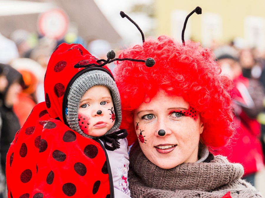 Foto: Martin Zehrer - Biene und Bienchen - Faschingszug durch Waldeck. Am Sonntag, den 15.2.2015 war es wieder so weit. Ein langer Zug<br />
mit zig Gaudiwagen und Hunderten Narren zog durch den Wa 