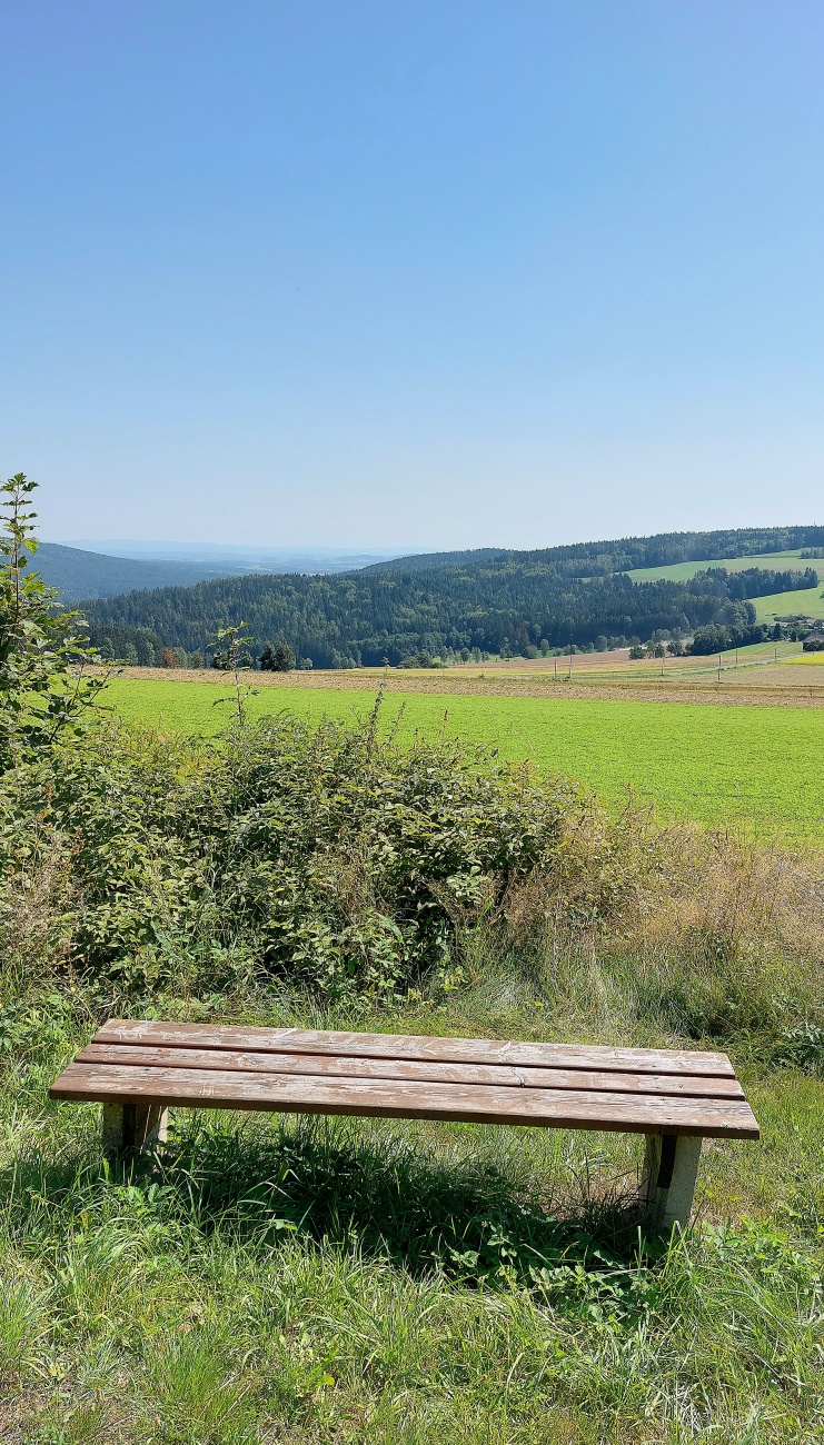 Foto: Martin Zehrer - Aussicht vom Bankl aus zum Steinwald rüber, droben auf dem Armesberg... 