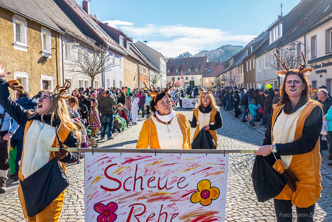 Foto: Martin Zehrer - Fasching in Waldeck 2017... viele Narren, lustiges Volk und Hammer-Wetter :-) 