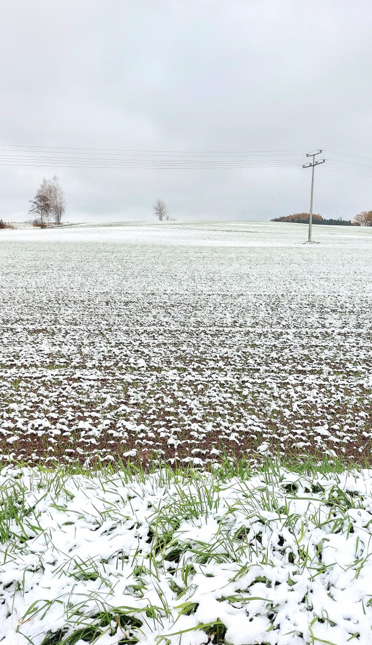 Foto: Martin Zehrer - Erster richtiger Schnee in Kemnath...<br />
<br />
Ca. 0 Grad Temperatur, bedeckter Himmel, gefühlt ziemlich frisch...<br />
So würde ich das Wetter heute, am 21. November 2024, bezeich 