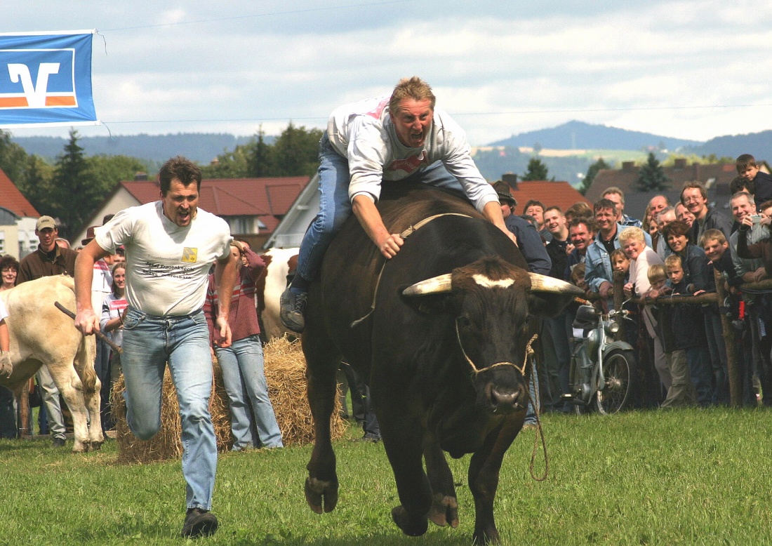 Foto: Thomas Zehrer - Ochsenrennen 2006 in Selbitz... <br />
<br />
THE POWER OF OXN-SPEED !!! 