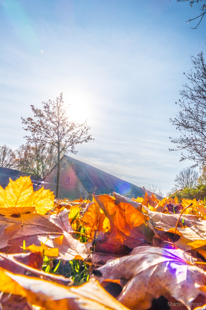 Foto: Martin Zehrer - Es ist Herbst, aber ein wunderschöner! :-)<br />
<br />
3. November 2024 