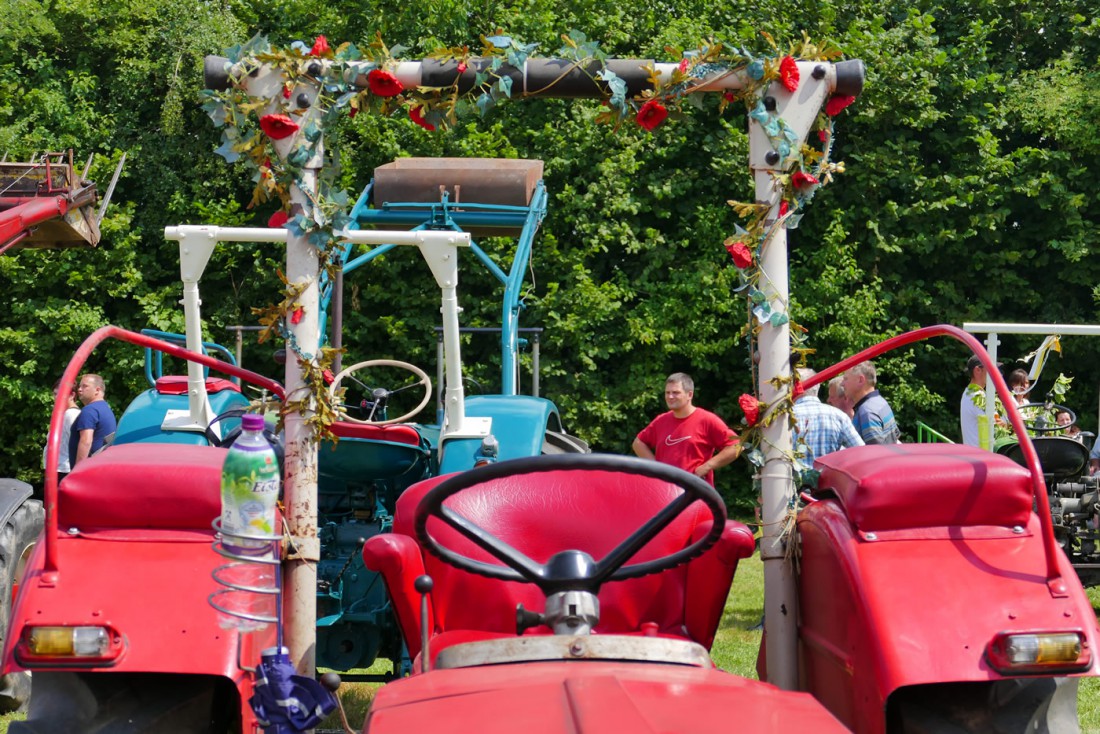 Foto: Martin Zehrer - Blumen am Sturzbügel... 