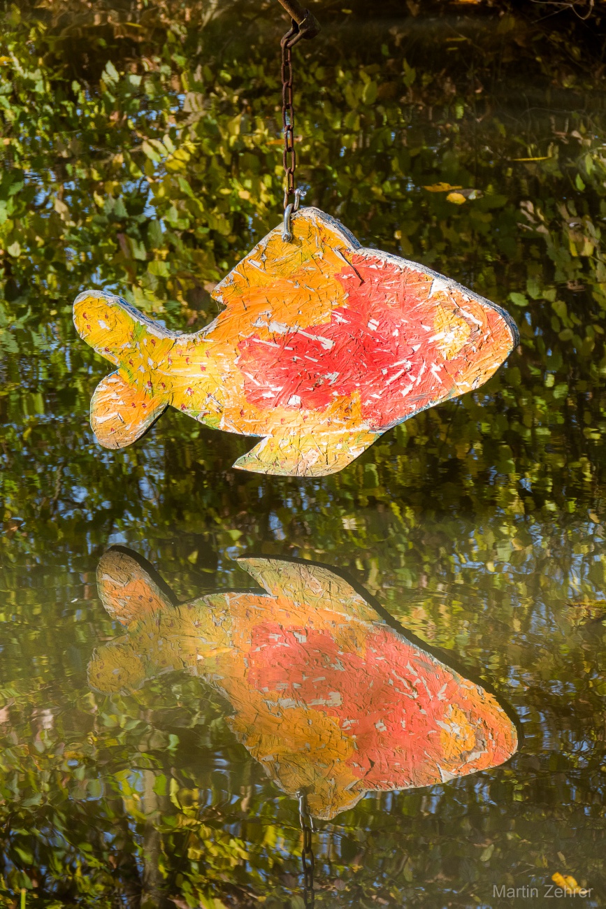 Foto: Martin Zehrer - Zwillinge... die Spiegelung im Wasser machts möglich. 