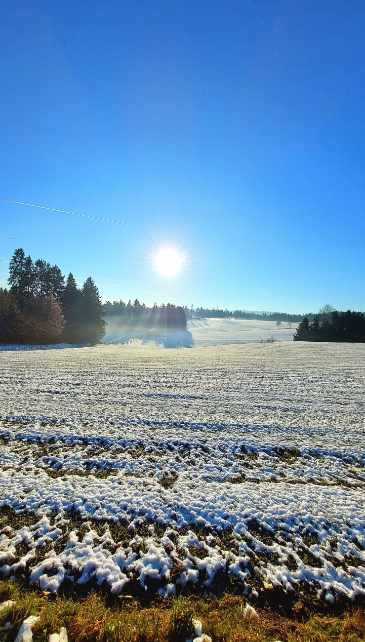 Foto: Martin Zehrer - Herrlicher Weihnachts-Spaziergangs-Tag... 