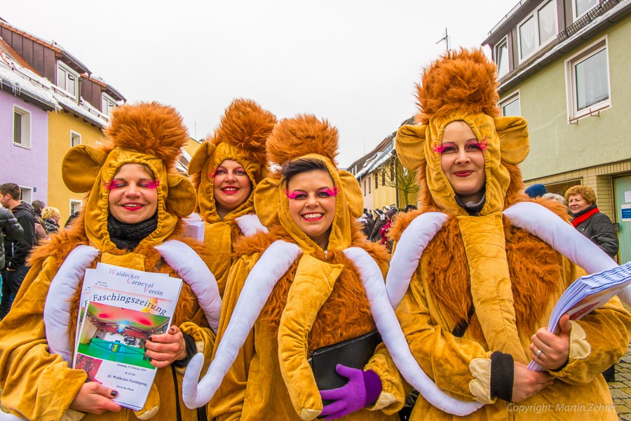 Foto: Martin Zehrer - Faschingszug durch Waldeck. Am Sonntag, den 15.2.2015 war es wieder so weit. Ein langer Zug<br />
mit zig Gaudiwagen und Hunderten Narren zog durch den Waldecker Markt. Mit vi 