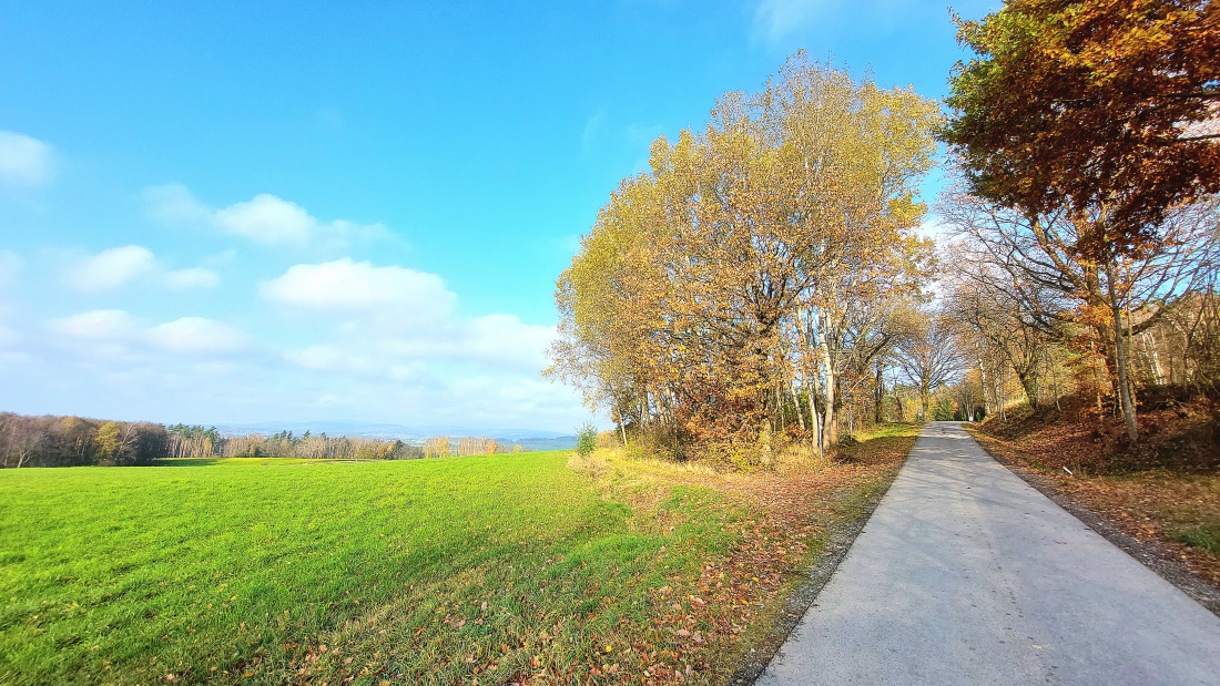 Foto: Martin Zehrer - Herbst zwischen Neusteinreuth und Godas... 