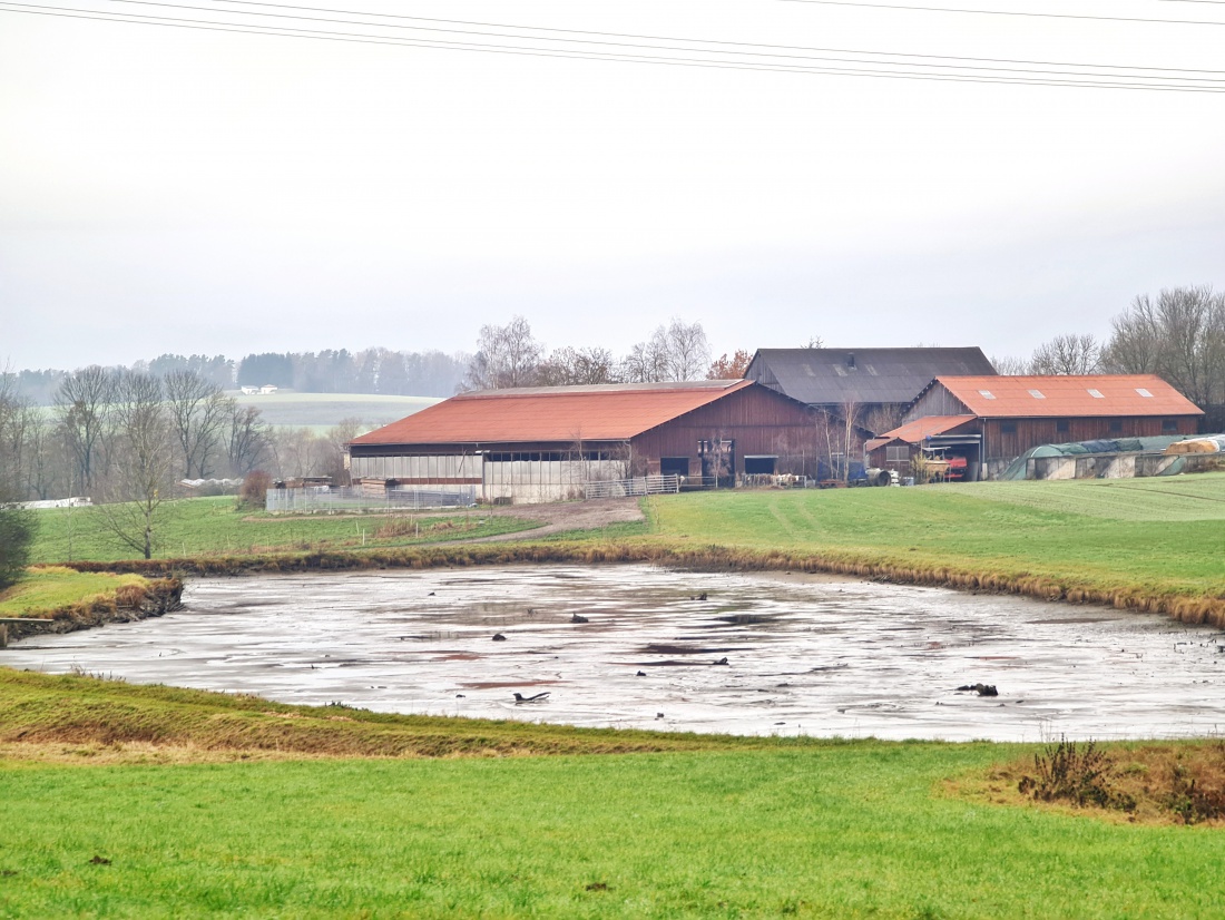 Foto: Jennifer Müller - Wandern um Kemnath 