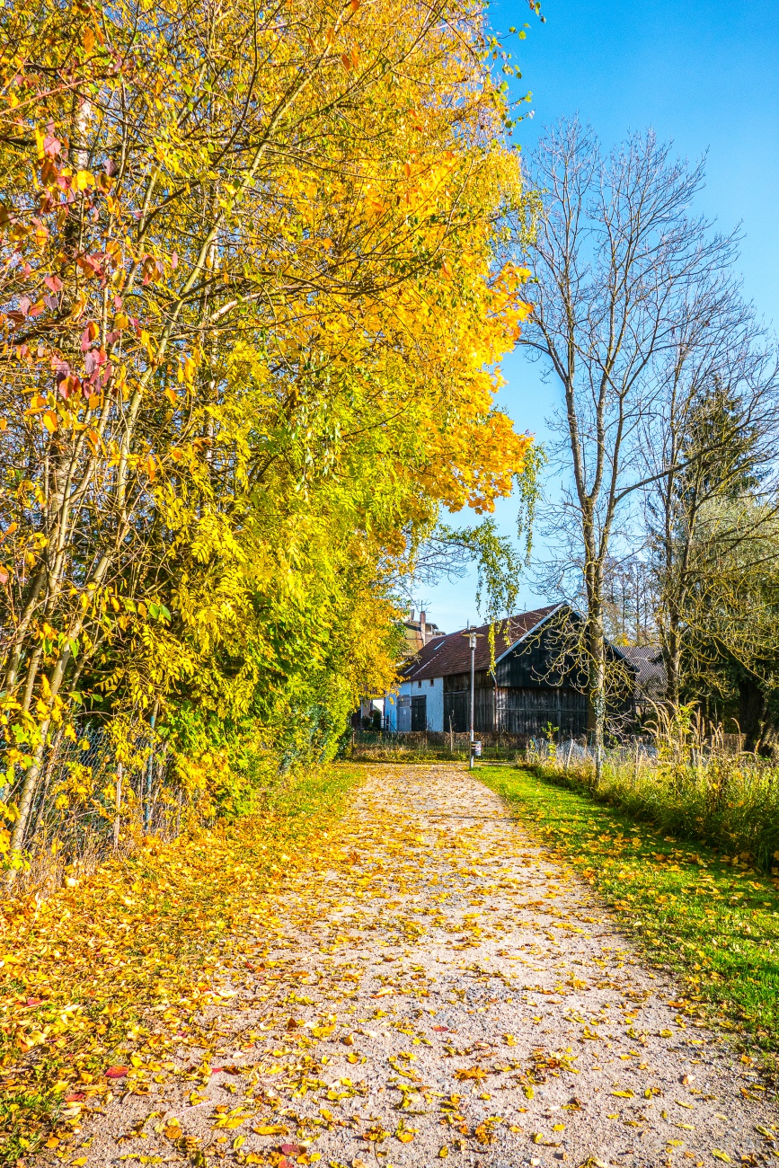 Foto: Martin Zehrer - Herbstspaziergang an einem Sonntag in Kemnath.<br />
<br />
3. November 2024 