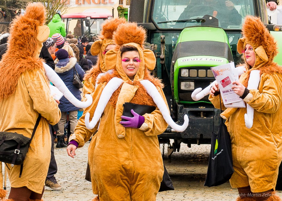 Foto: Martin Zehrer - Faschingszug durch Waldeck. Am Sonntag, den 15.2.2015 war es wieder so weit. Ein langer Zug<br />
mit zig Gaudiwagen und Hunderten Narren zog durch den Waldecker Markt. Mit vi 