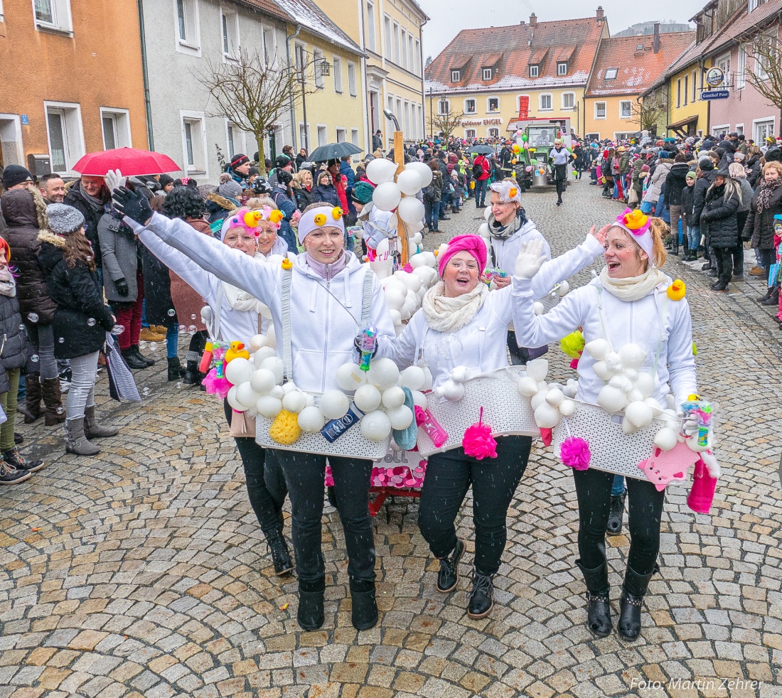 Foto: Martin Zehrer - Gaudi, Gaudi, Gaudi!!! Faschingszug des WCV durch Waldeck am 11. Februar 2018!  