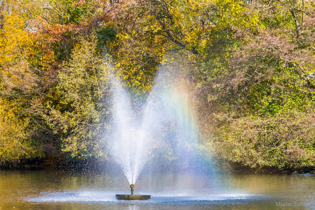 Foto: Martin Zehrer - Fontaine im kemnather Stadtweiher... 