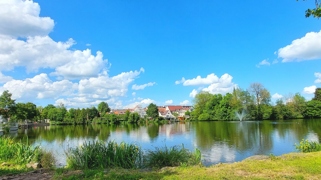 Foto: Martin Zehrer - Wunderschön am Kemnather Stadtweiher... 