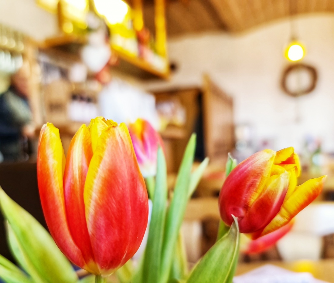 Foto: Jennifer Müller - Im Mesnerhaus bei der Birgit ist der Frühling eingezogen ;-) 