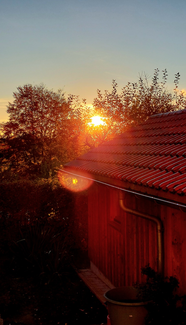 Foto: Martin Zehrer - 8 Uhr in der Früh... es scheint,  dass ein schöner Tag bevorsteht.<br />
<br />
Die Temperatur lag bei ca. +5 Grad, der Wind wehte merkbar übers Land.<br />
Herbstliches Wetter halt... 