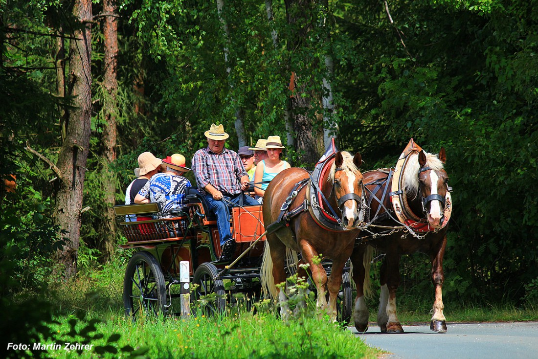 Foto: Martin Zehrer - Was muss das doch schön sein. Mit der Kutsche durch die Landschaft schleichen und mit allen Sinnen die Natur erfahren ;-)<br />
<br />
Gesehen bei Kellermühle/Pullenreuth am 3.08.2 