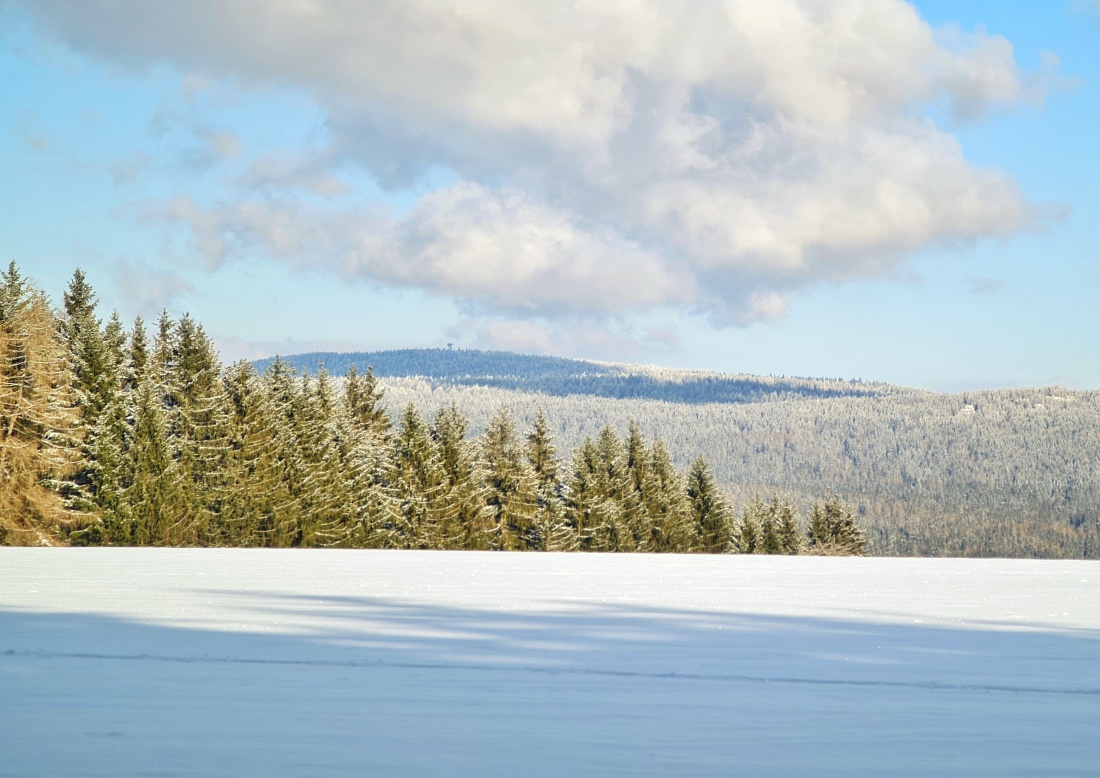 Foto: Jennifer Müller - Sonnig, eiskalt, wunderschön... Mehr kann man zum heutigen Tag nicht sagen. Tolle Sicht auf den Oberpfalzturm am Steinwald. 