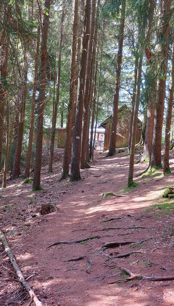 Foto: Martin Zehrer - Nur noch ein paar Meter bis zur Gänskopfhütte.  