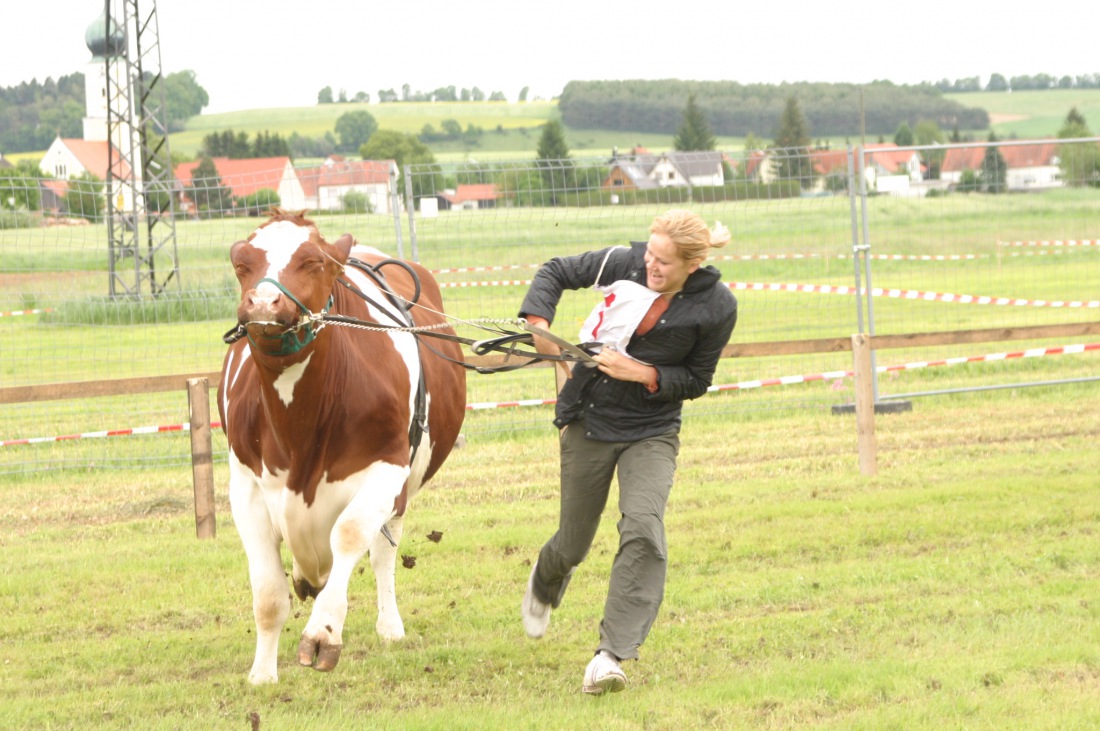 Foto: Martin Zehrer - Ochsenrennen in Oberdolling ;-)<br />
<br />
Wir gehören zusammen... 