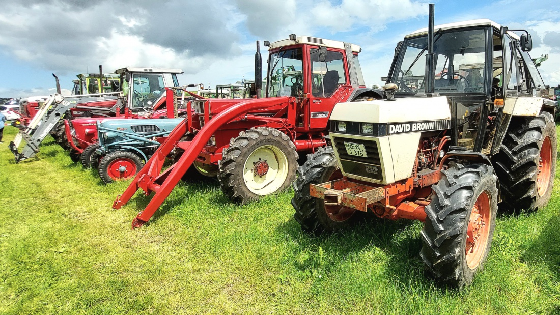 Foto: Martin Zehrer - Oldtimer-Bulldogtreffen an der Kappl... 