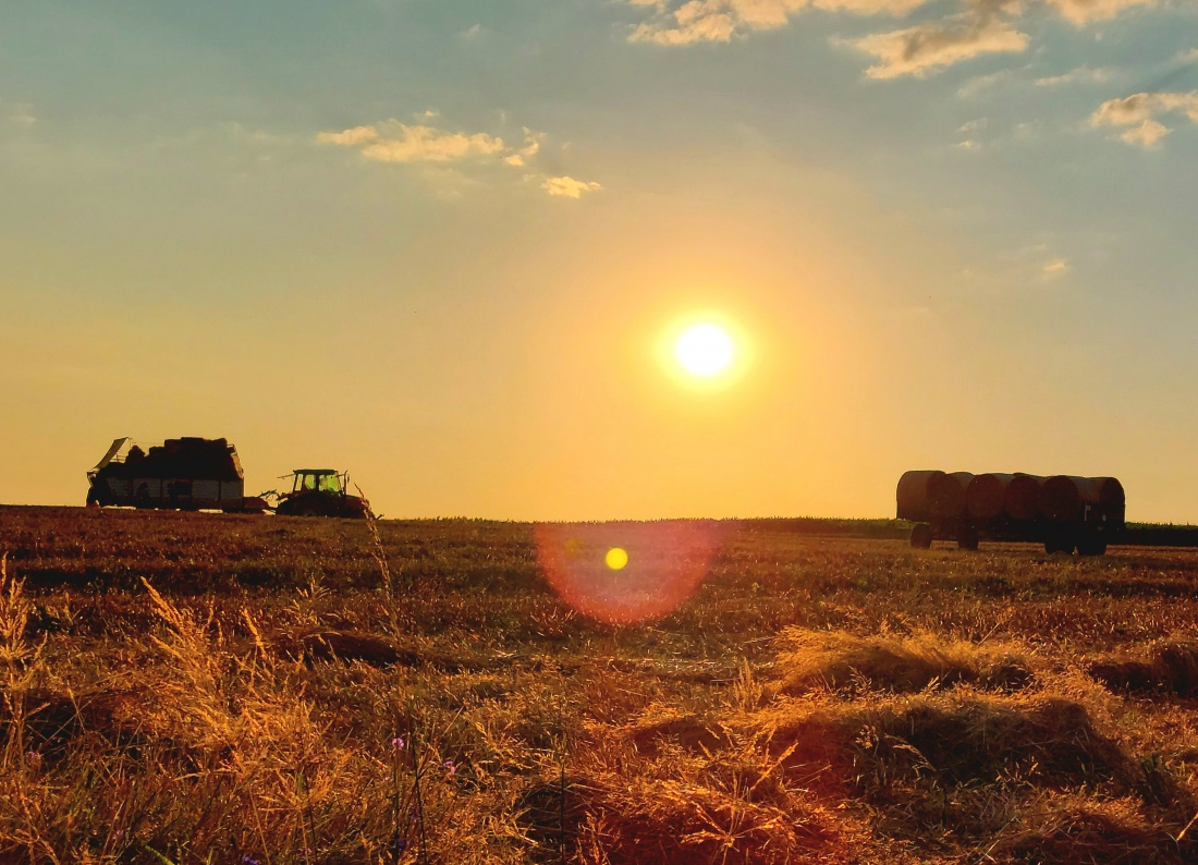 Foto: Martin Zehrer - Feldarbeit im Sonnenuntergang... Stroh-Büschel aufladen und nachhause bringen. 