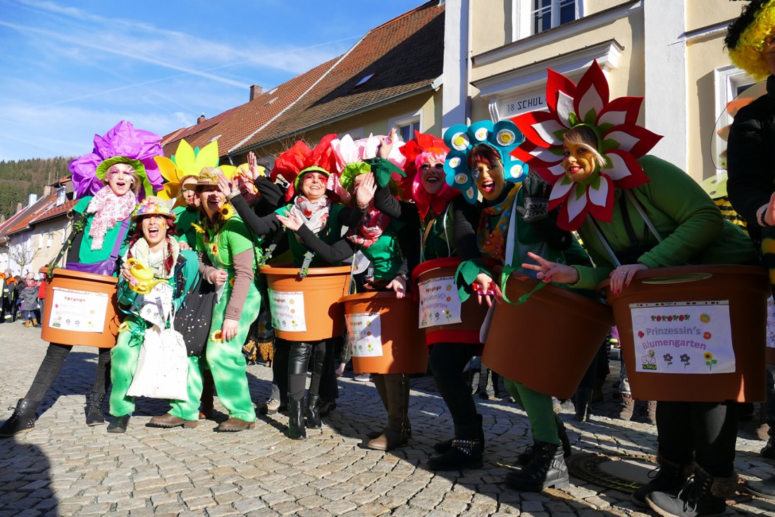 Foto: Martin Zehrer - Blumen brauchen Sonne ;-)<br />
<br />
44. Faschingszug durch Waldeck am 7. Februar 2016!<br />
<br />
Tanzen, lachen und Gaudi machen ;-)<br />
<br />
Viele Gaudiwagen und unzählige Besucher trafen i 