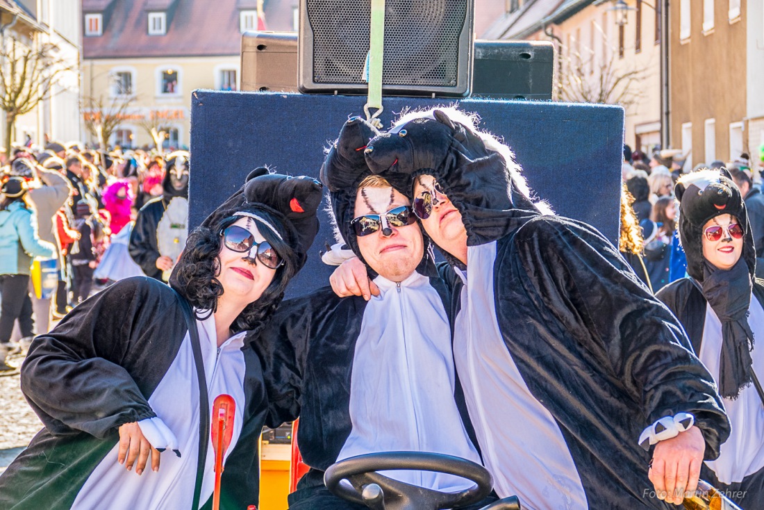 Foto: Martin Zehrer - Fasching in Waldeck 2017... viele Narren, lustiges Volk und Hammer-Wetter :-) 