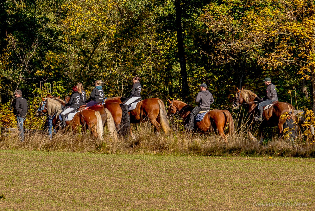 Foto: Martin Zehrer - Wendelinritt 2015 in Trevesen - Viele Rösser und Reiter waren an diesem herrlichen Herbst-Tag mit dabei... 