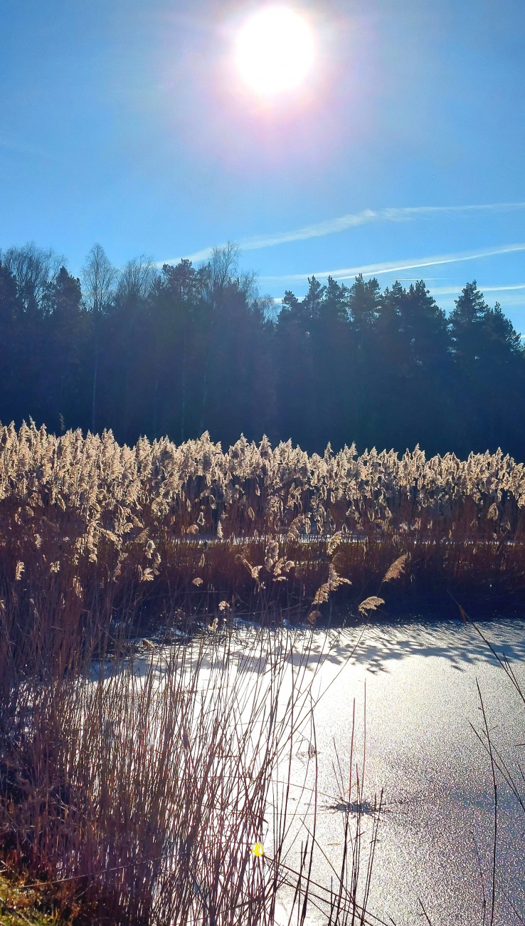 Foto: Martin Zehrer - Winter-Frühling an den Weihern bei Eisersdorf... 