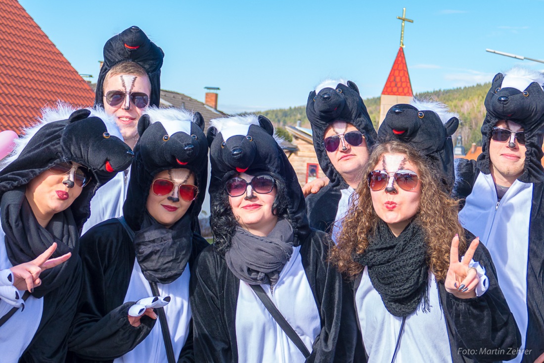 Foto: Martin Zehrer - Fasching in Waldeck 2017... viele Narren, lustiges Volk und Hammer-Wetter :-) 